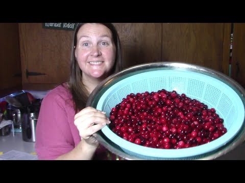 5 Fantastic Ways to PRESERVE CRANBERRIES!