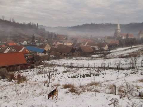 Dimineață la Moșna, Sibiu.