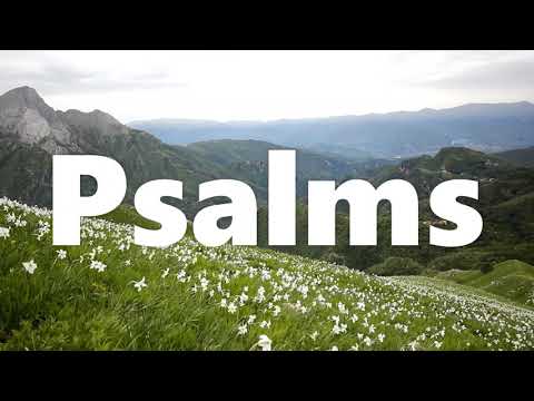 The Book of Psalms - New King James Version (NKJV) - Audio Bible