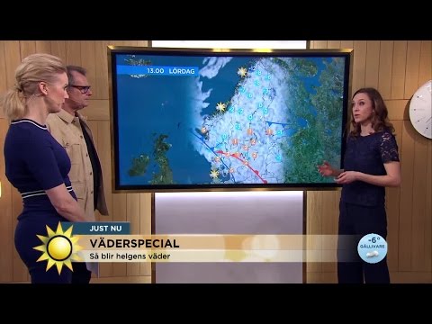 Så blir helgvädret - Nyhetsmorgon (TV4)