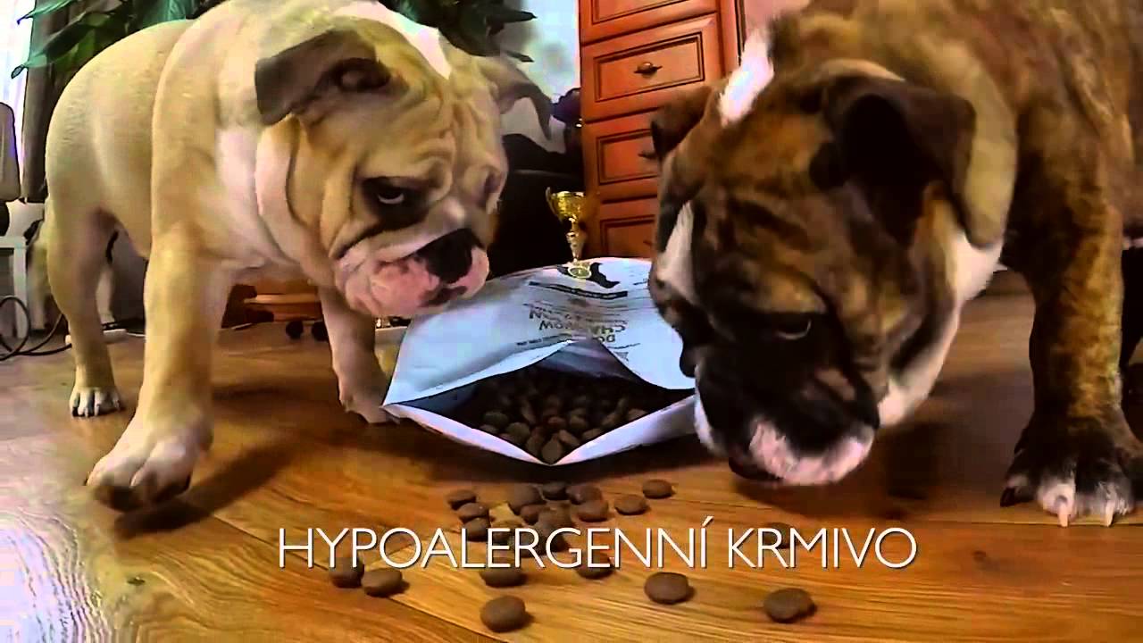 Nové receptury Brit Care