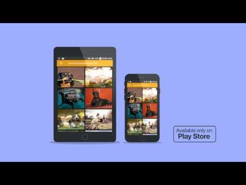 Animal Wallpaper HD Images Video