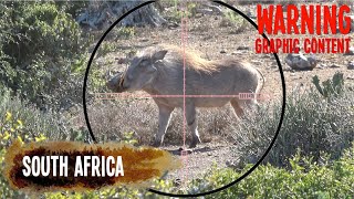 Warthog Hunting with the Bushbuck 45 Airgun
