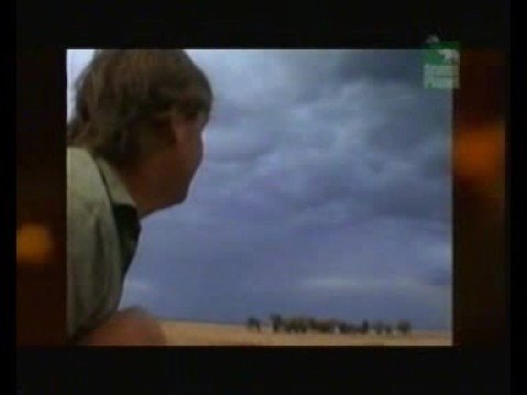 My Steve Irwin Tribute Video.