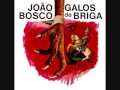 João Bosco - Miss Suéter