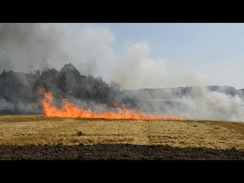 Gräsbrand utanför Viken