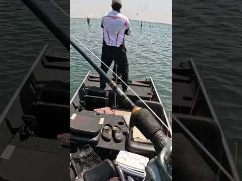 Pescaria em santa vitoria, só monstros!!! se inscreva e assista o video completo no canal!!!