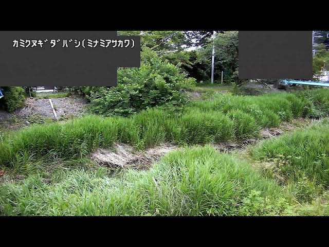 上椚田橋映像監視局