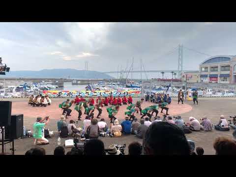 商学科 小樽商科大学"翔楽舞" 2019四獣奏 神戸よさこい祭り本祭2日目 マリンピア神戸会場