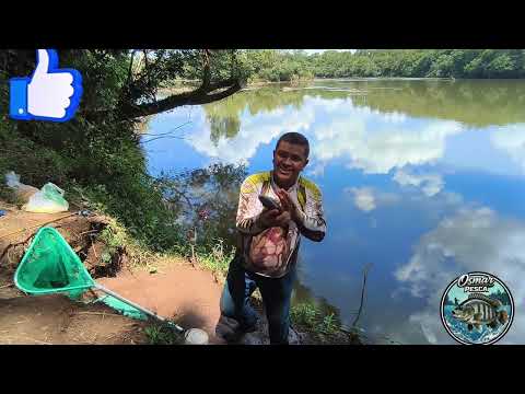 pescaria de piapara na bombinha rio Tibagi , na cidade de Tibagi pr