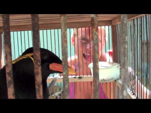 Long Beach bird and Sandra Wimark on Long Beach Thailand