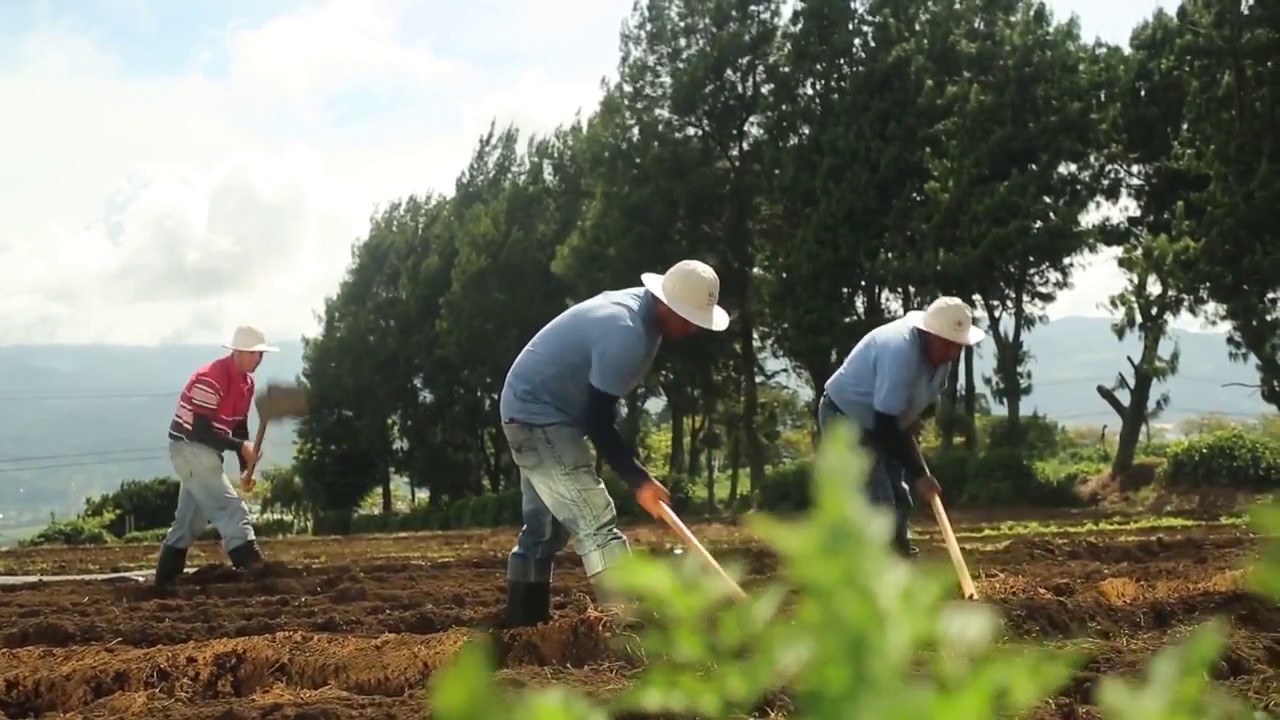 sergio mena: "vamos