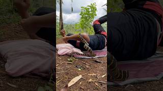 Download lagu Di gigit ular saat tidur siang 🥲 #jejaksiaden #ularbesar #snake mp3 Download lagu Di gigit ular saat tidur siang 🥲 #jejaksiaden #ularbesar #snake mp3