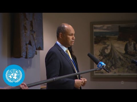 United Kingdom on Myanmar - Security Council Media Stakeout (27 May 2022)