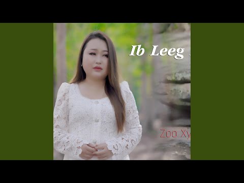 Ib Leeg Niam (feat. Zoo Xyooj)