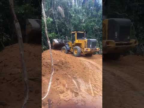 Daniel Masiero cujubim Rondônia