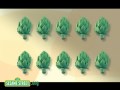 Sesame Street Ten Tiny Turtles