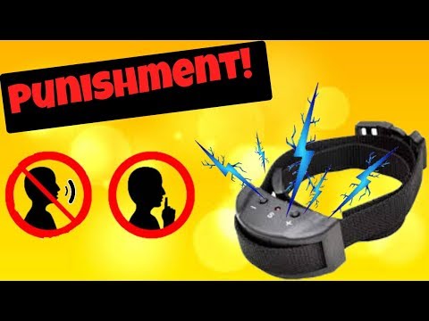 Human Bark Collar! *PUNISHMENT* EP.9