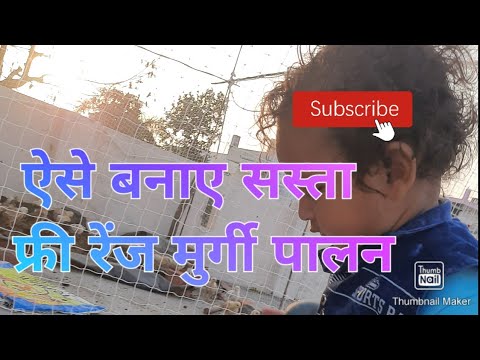 Galvanized wire poultry farm net