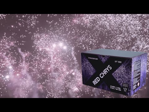 Pyrocentury Red Chrys