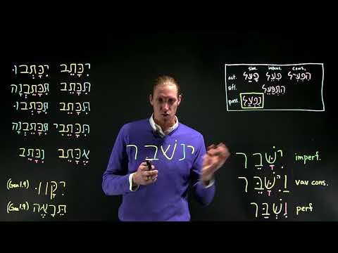 Verb Stems  Niph'al Imperfect (p223–225)