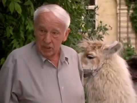 Forsthaus Falkenau Hausmittel Staffel 13 Episode 06 S13 E06 360p 25fps H264 128kbit AAC