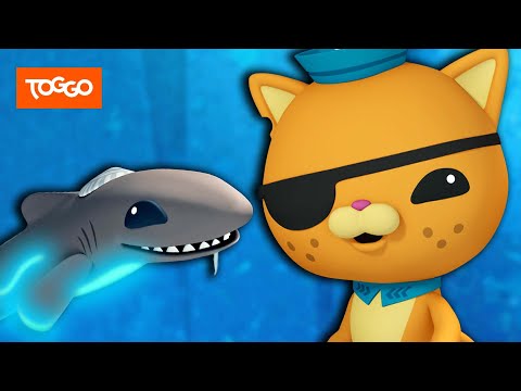 Die Oktonauten und der Zwerg-Laternenhai | Ganze Folge Deutsch | TOGGO Serien