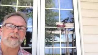 how to position your Hummingbird Feeder for the best results
