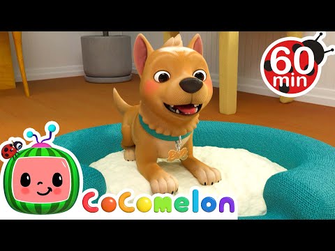 Bingo | Cartoons & Kids Songs | Moonbug Kids - Nursery Rhymes for Babies