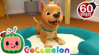 Bingo | Cartoons &amp; Kids Songs | Moonbug Kids - Nursery Rhymes for Babies