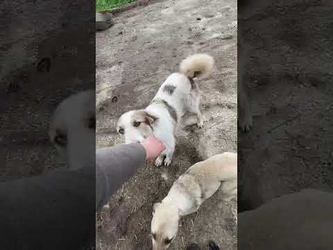 Cosmin 2 05/2025 - Hope for Future e.V.