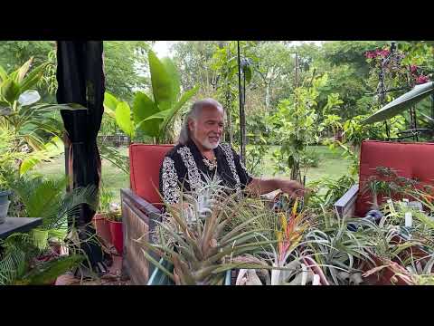 FRANK26……9-3-25….FLOODING THE BANK