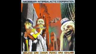 Necessary Intergalactic Cooperation (N.I.C.) - Bare Element No Fuss (Mothboy Remix)