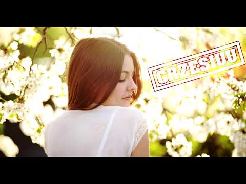 ✅ Składanka Blendów ✅ Na Lato 2018 ✅⛔QBIK x PlanBe x Ronnie⛔