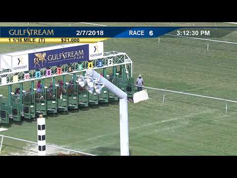 Gulfstream Park Carrera 6 - 7 de Febrero 2018