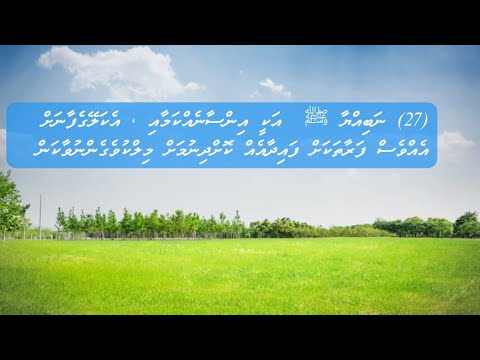 (81) (27) Nabihyaa ﷺ Akee ves Insaaneh : Sheikh Hussain  Thoarig