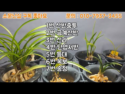 유튜브 썸네일