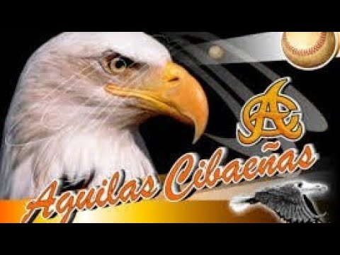 Aguilucho desde Chiquitito - Diómedes & El Grupo Mío (Audio Merengue)