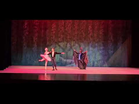 El lago de los Cisnes. Piot Ilich Chaikonski.EDEC Mi alumna ZOE. 29 marzo 2026.