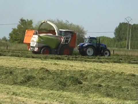 Patfoort: Gras hakselen.