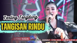 Download lagu TANGISAN RINDU ~ DEVI ADINDA // CITRA NADA LIVE DESA SALAREUMA (DUSUN WAGE) // CIPICUNG - KUNINGAN mp3 Download lagu TANGISAN RINDU ~ DEVI ADINDA // CITRA NADA LIVE DESA SALAREUMA (DUSUN WAGE) // CIPICUNG - KUNINGAN mp3