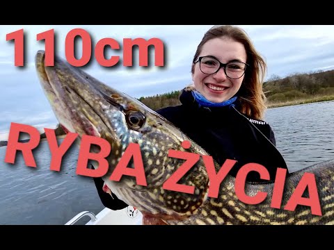 RYBA ŻYCIA  Szczupak 110cm na rozpoczęcie sezonu maj 2021 BIG PIKE