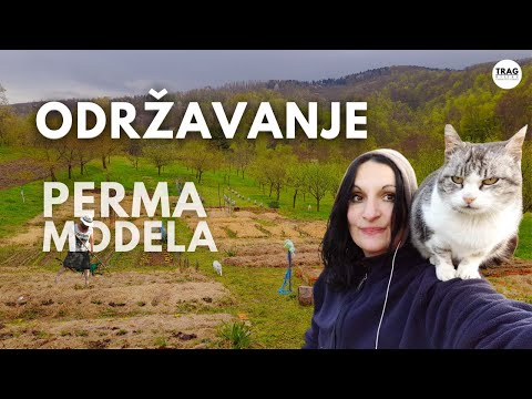 PERMA MODEL MAINTENANCE