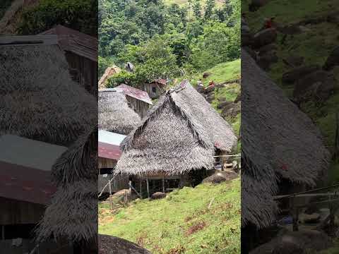bienvenido a tu destino turístico en la provincia de bocas del toro 🇵🇦 cascada disponible