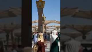 Download lagu Allah ummha Salliala Muhammad 🕌💕❤️#subscribemychannel #unfrezzmyaccount mp3 Download lagu Allah ummha Salliala Muhammad 🕌💕❤️#subscribemychannel #unfrezzmyaccount mp3