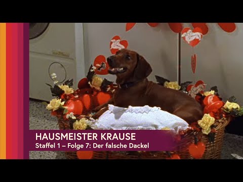 Hausmeister Krause, Staffel 1 - Folge 7: Der falsche Dackel