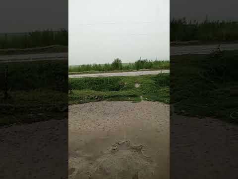 Tormenta eléctrica y diluvia en Rufino Santa Fe 4/2/26 #tormenta