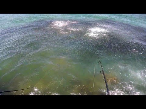 Fiskeri efter snooks med små multer