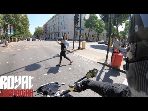 Daily Observations 226