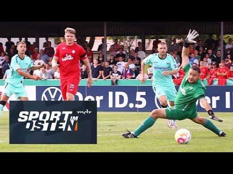 Zweistellig! Wernigerode geht gegen Paderborn unter | die Highlights